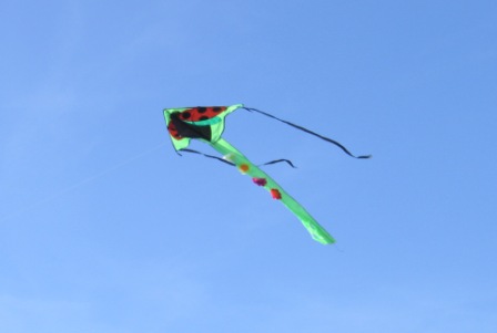 IMG_6576.JPG