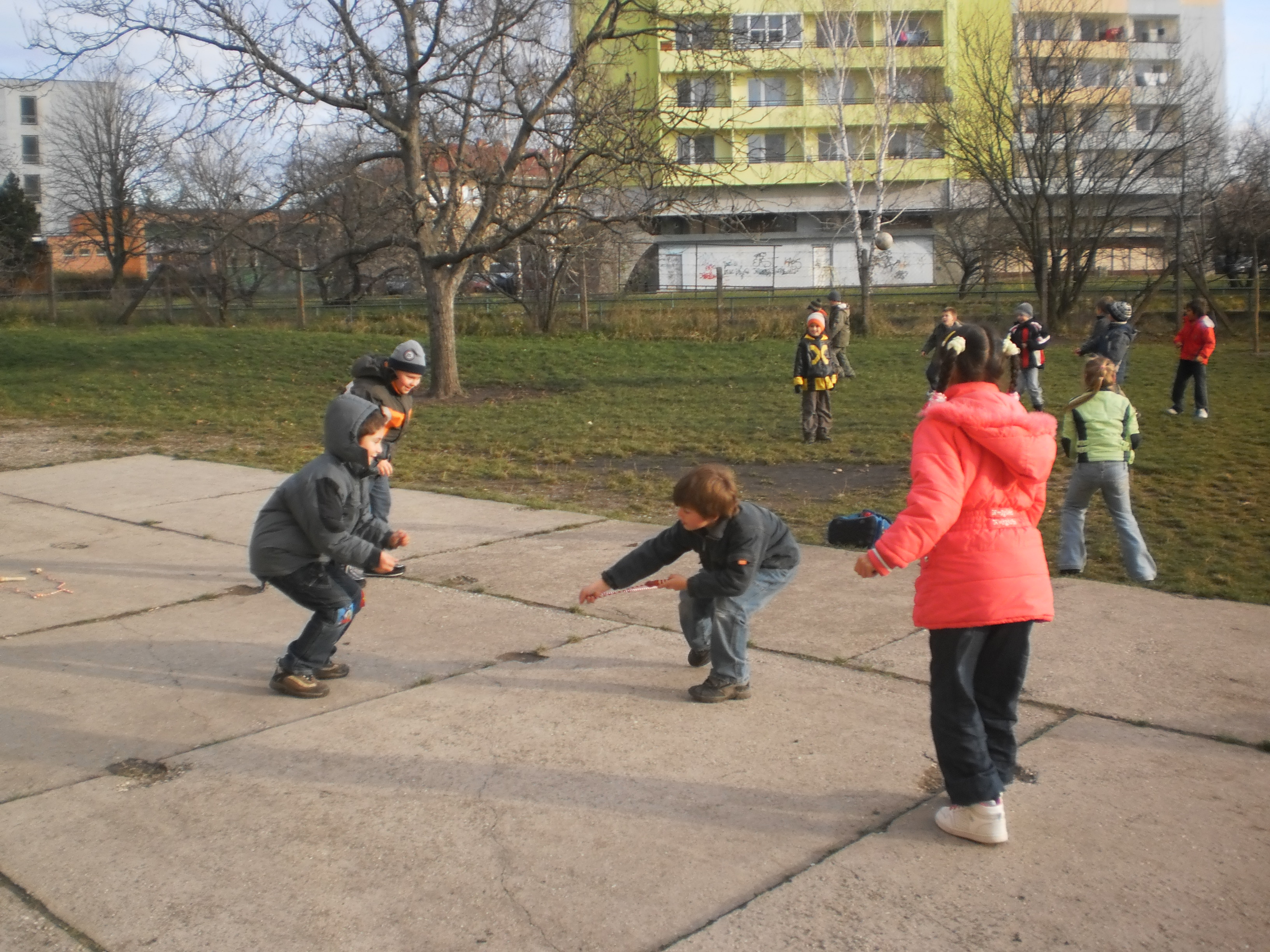 PB260020.JPG